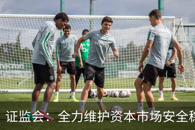 证监会：全力维护资本市场安全稳定